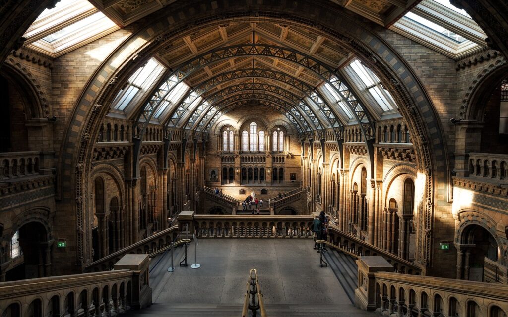 natural history museum, london, interior